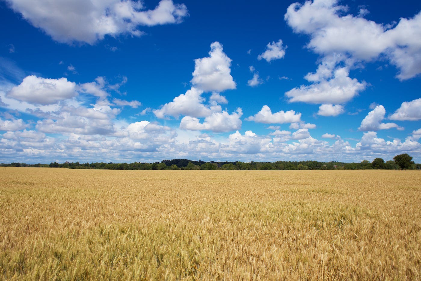 Agricultura
